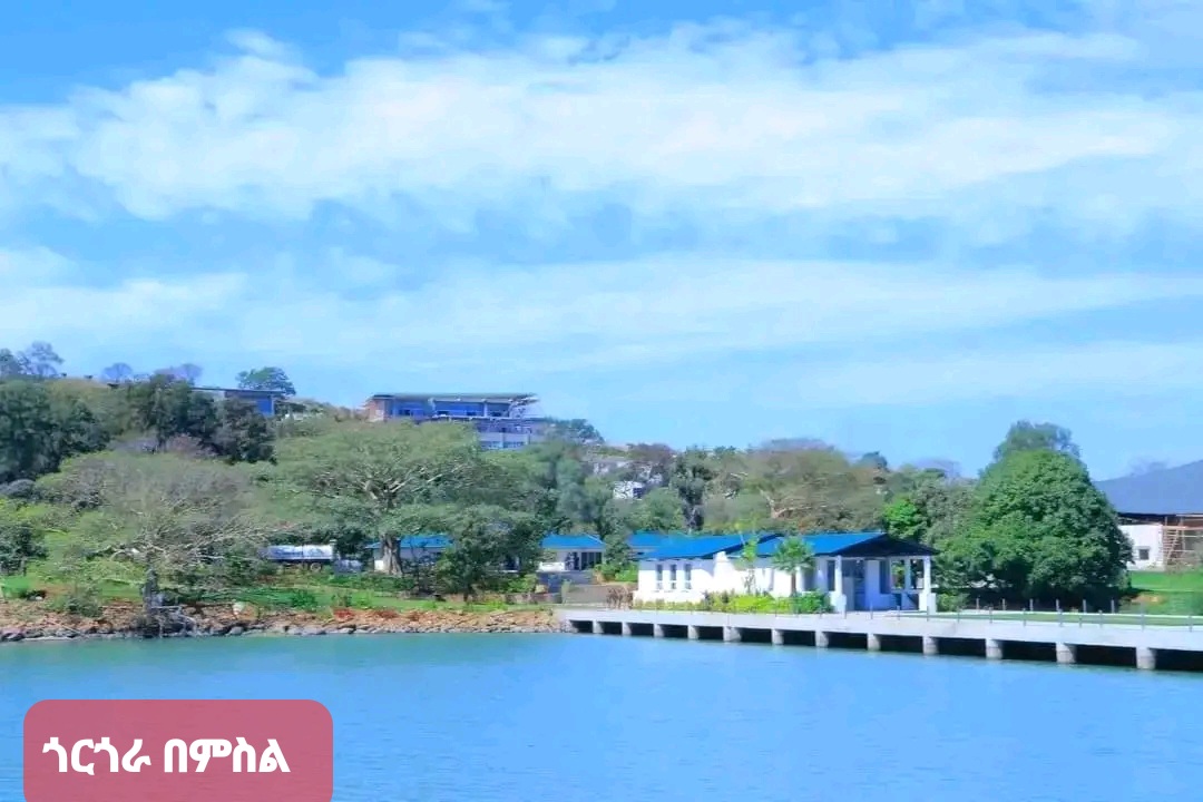 Contemporary Kitchen